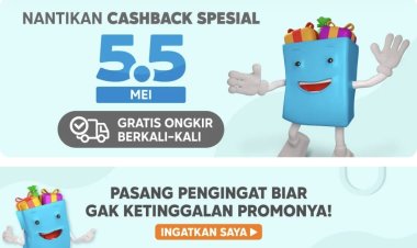 Tips Berbelanja Menghadapi Promo 5.5